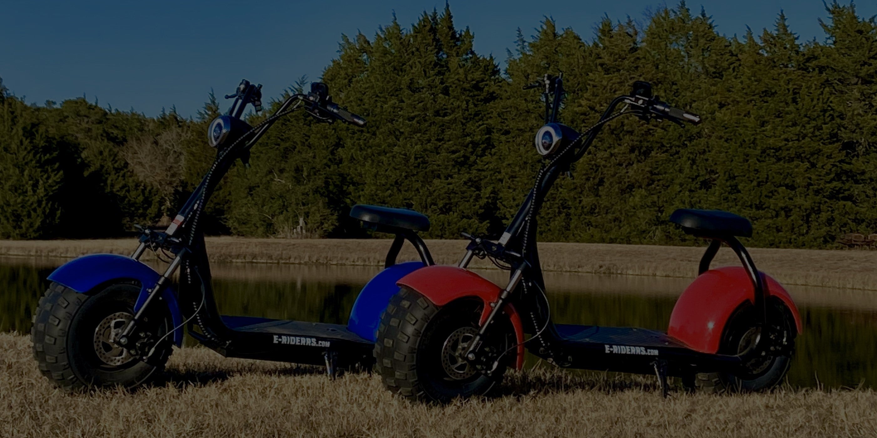 e ride electric scooter