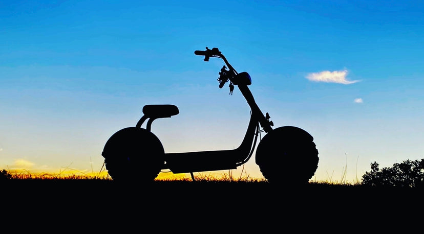 ride e scooter