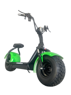 D* Green E-Riderrs