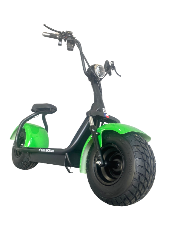D* Green E-Riderrs